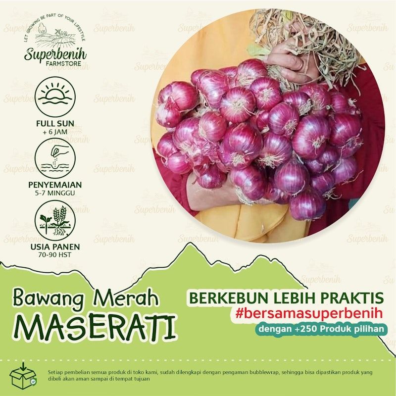 BEJO Seeds - Benih Bawang Merah Maserati F1