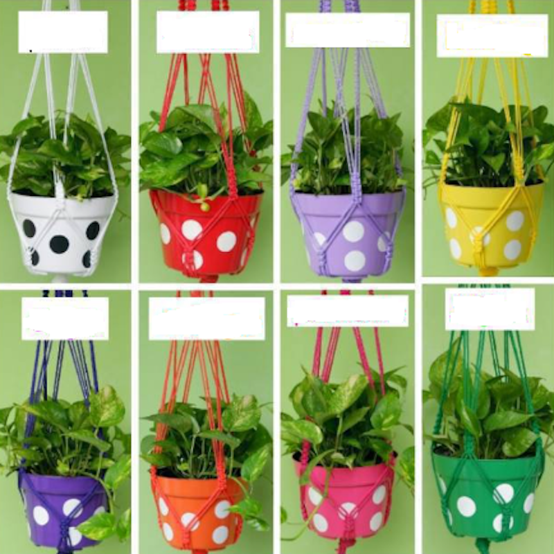 Pot Polka Set