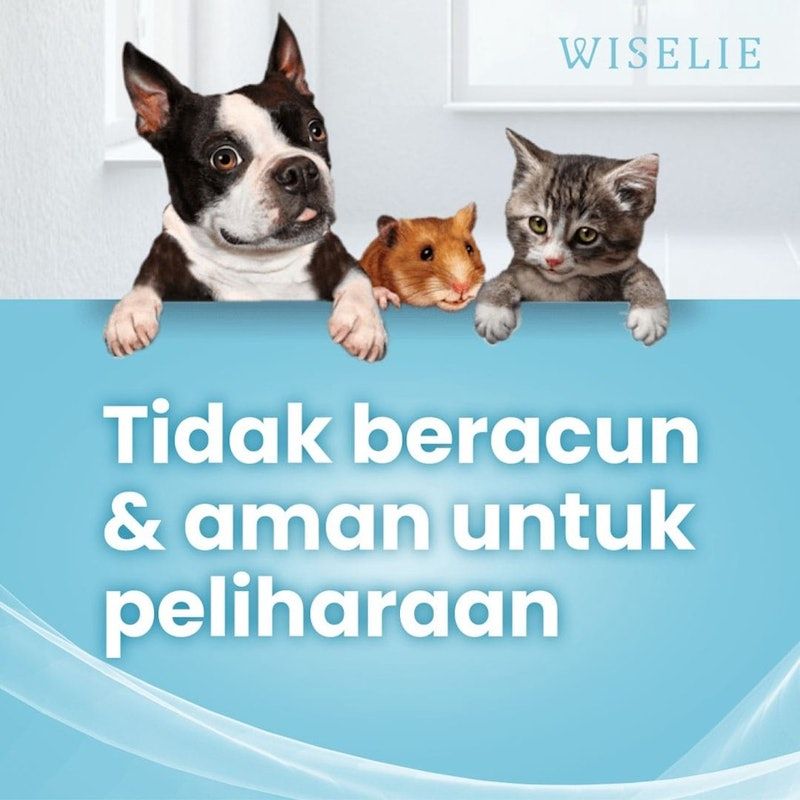 Wiselie Semprotan Pengusir Tikus Alami