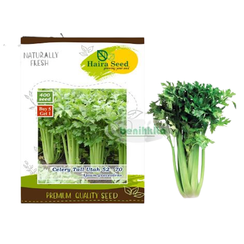 Celery Tall Utah