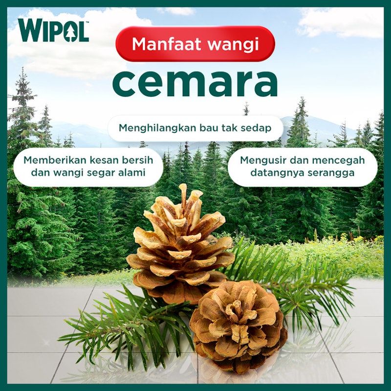 Wipol Karbol Cemara
