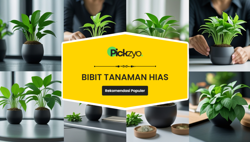 Bibit tanaman hias terbaik untuk tahun 2025