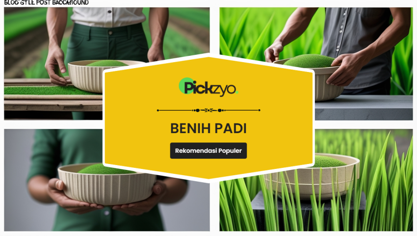 Benih padi terbaik untuk petani