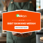 Bibit bawang merah terbaik untuk pertanian