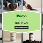 Pupuk KCL terbaik untuk tanaman