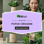 Pupuk organik terbaik untuk tanaman