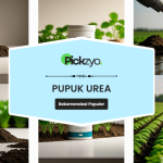 Pupuk urea terbaik untuk pertanian