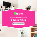 Racun tikus terbaik untuk 2025