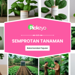 Semprotan tanaman terbaik untuk perawatan tanaman