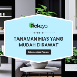 Tanaman hias mudah dirawat