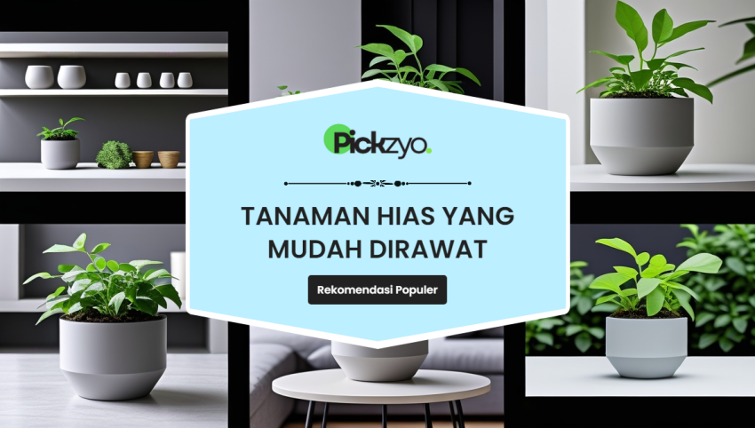 Tanaman hias mudah dirawat