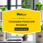 Tanaman pengusir nyamuk terbaik untuk rumah