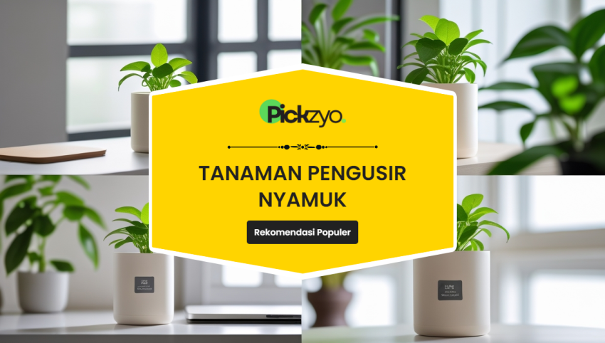 Tanaman pengusir nyamuk terbaik untuk rumah