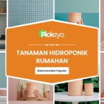 Tanaman hidroponik rumahan terbaik