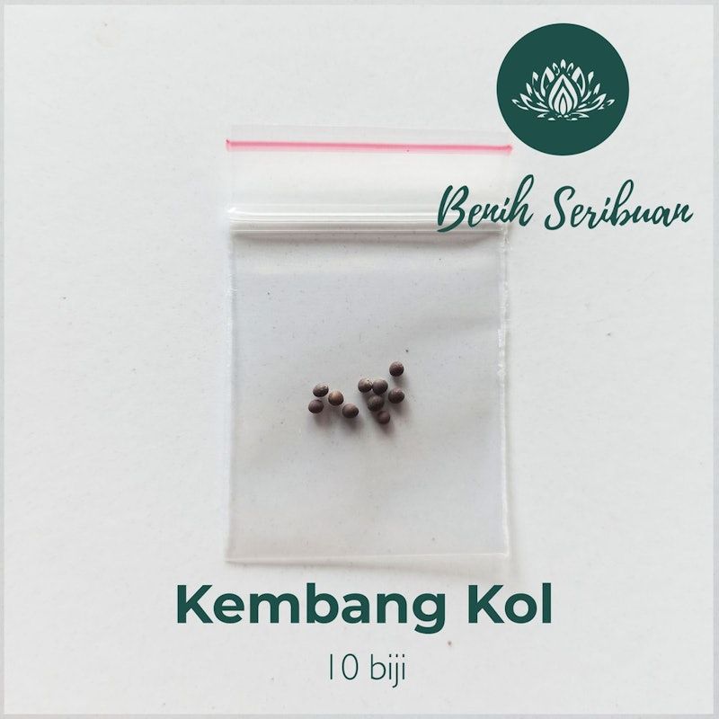 Bunga Kol F1 Hibrida