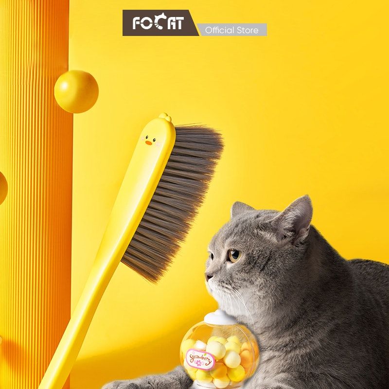 Cleaning brush