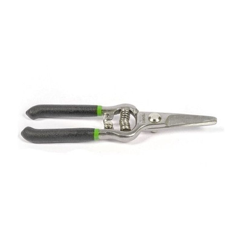Pruning Shear Straight 6"