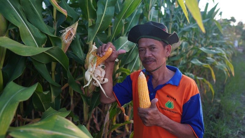 TSAMAR32 Pupuk Makro Tunggal Urea Cair 32%