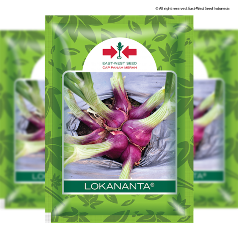 Cap Panah Merah - Benih Bawang Merah Lokananta