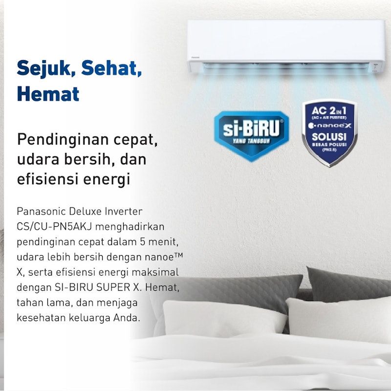 Panasonic | Deluxe Standard 2 in 1 (AC + Air Purifier)
