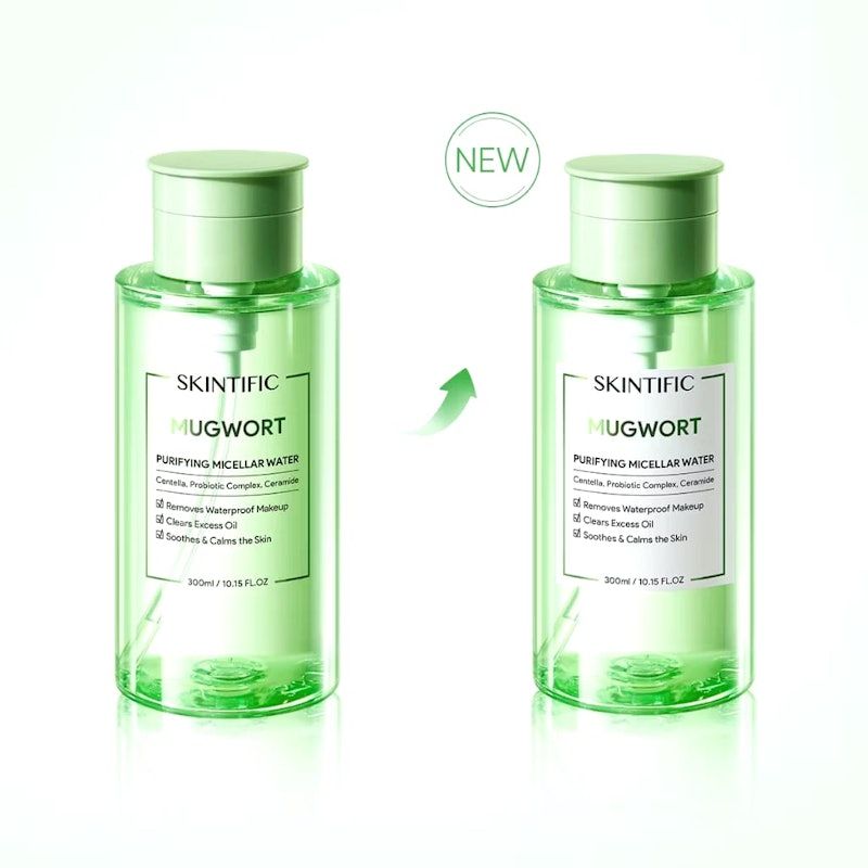 SKINTIFIC | Mugwort Purifying Micellar Water