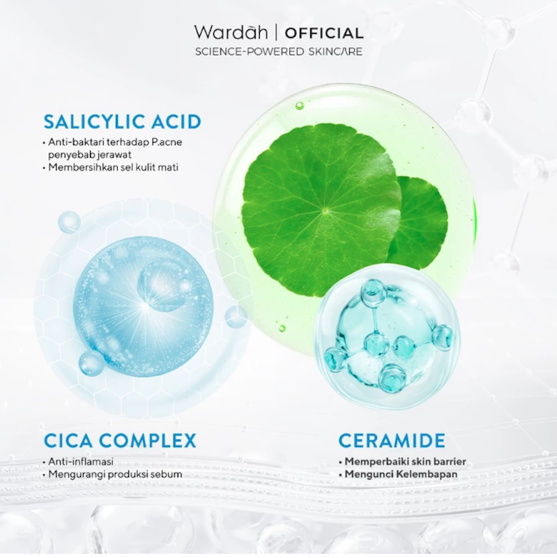 Wardah | Acnederm Acne Care Micellar Water