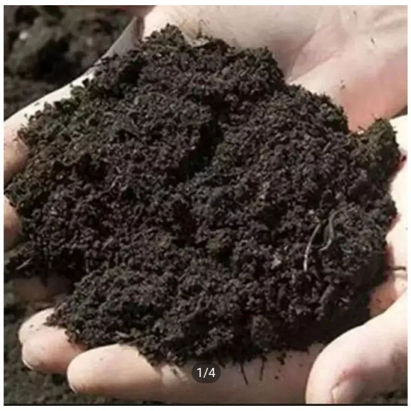 Media Tanam Gloria (Media Tanam Pak Tani)