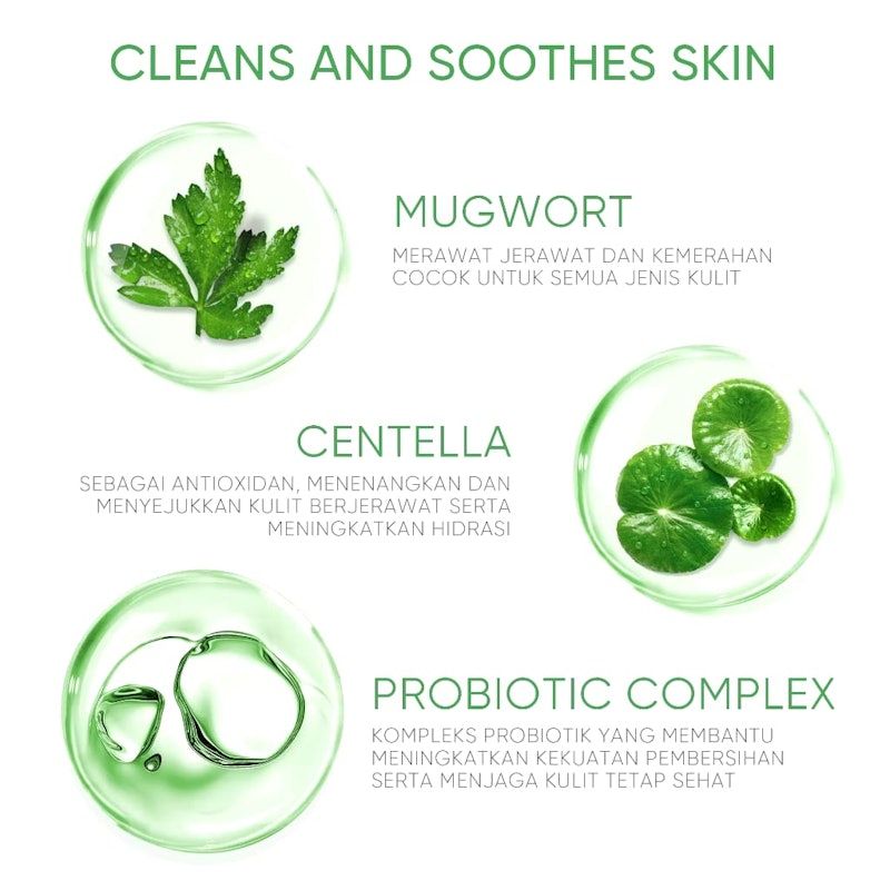 SKINTIFIC | Mugwort Purifying Micellar Water