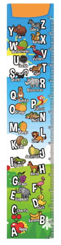 Raja Kidzone Growth Chart