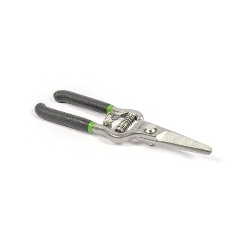 Pruning Shear Straight 6"