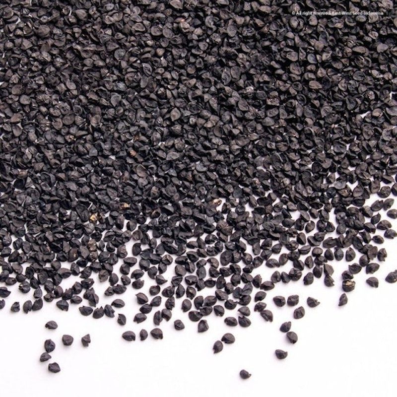 Cap Panah Merah - Benih Bawang Merah Lokananta