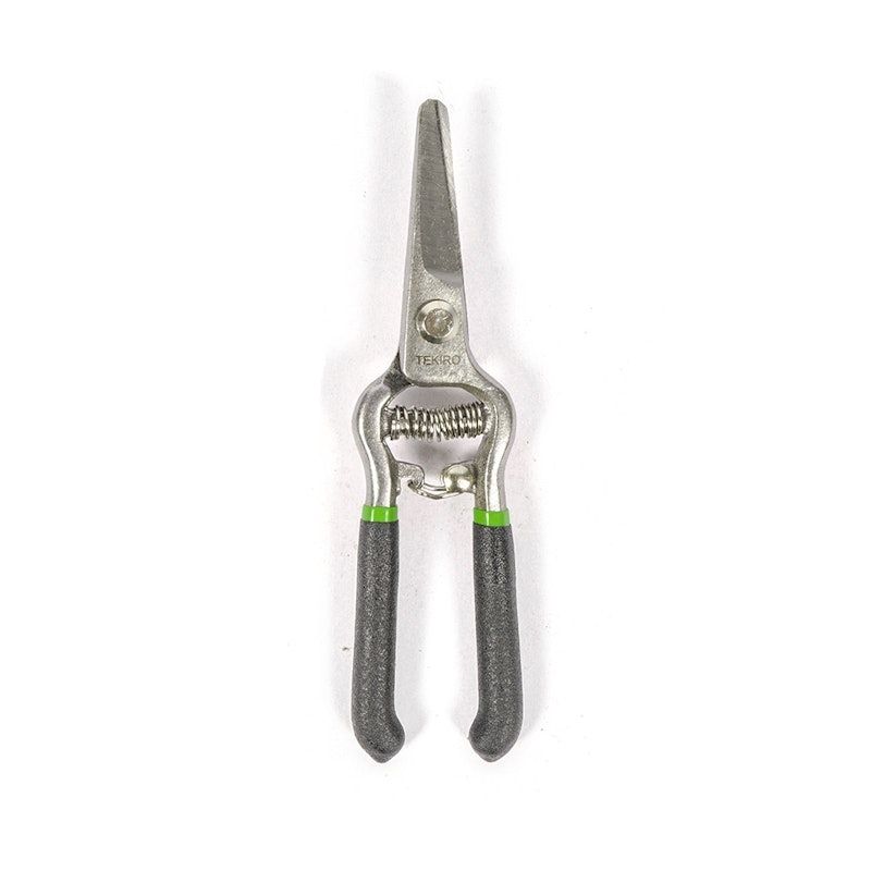 Pruning Shear Straight 6"