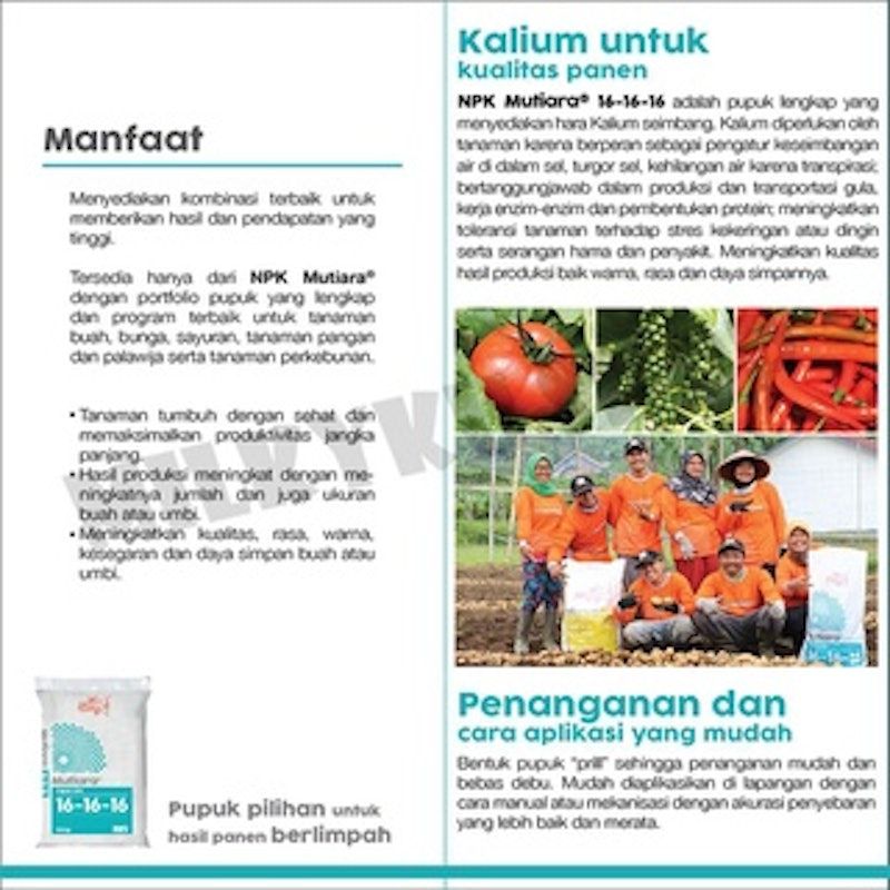 Mutiara Pupuk NPK 16-16-16