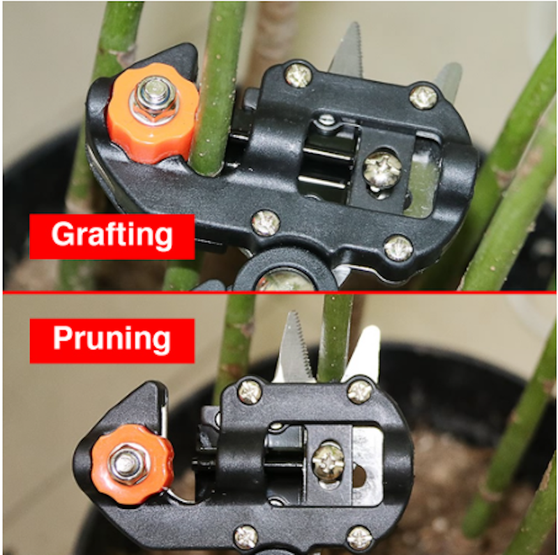 Gunting Grafting Tool