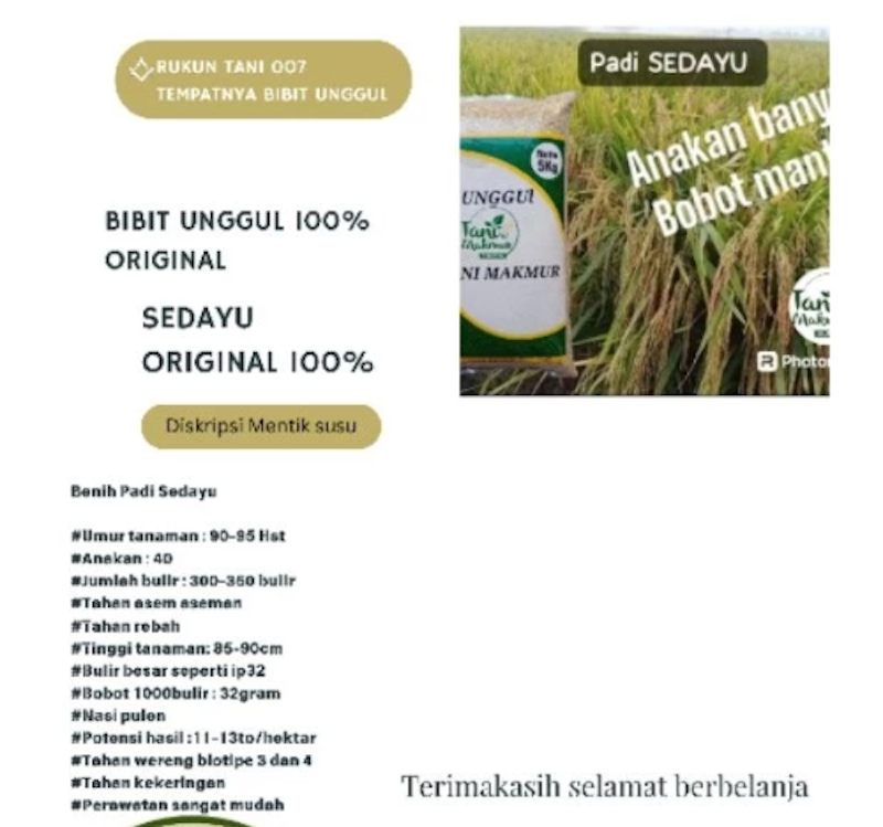 Tani Makmur Sejahtera Bibit Padi Sedayu 5 kg