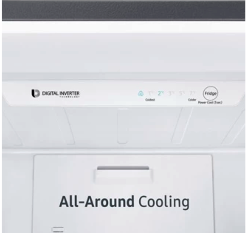 Samsung | 315L Refrigerator BMF Optimal Fresh Zone Black DOI