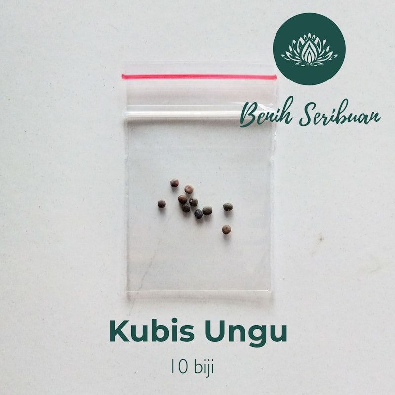 Kol Kubis Ungu