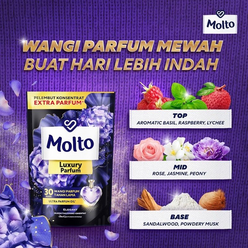 Molto EDP Purple