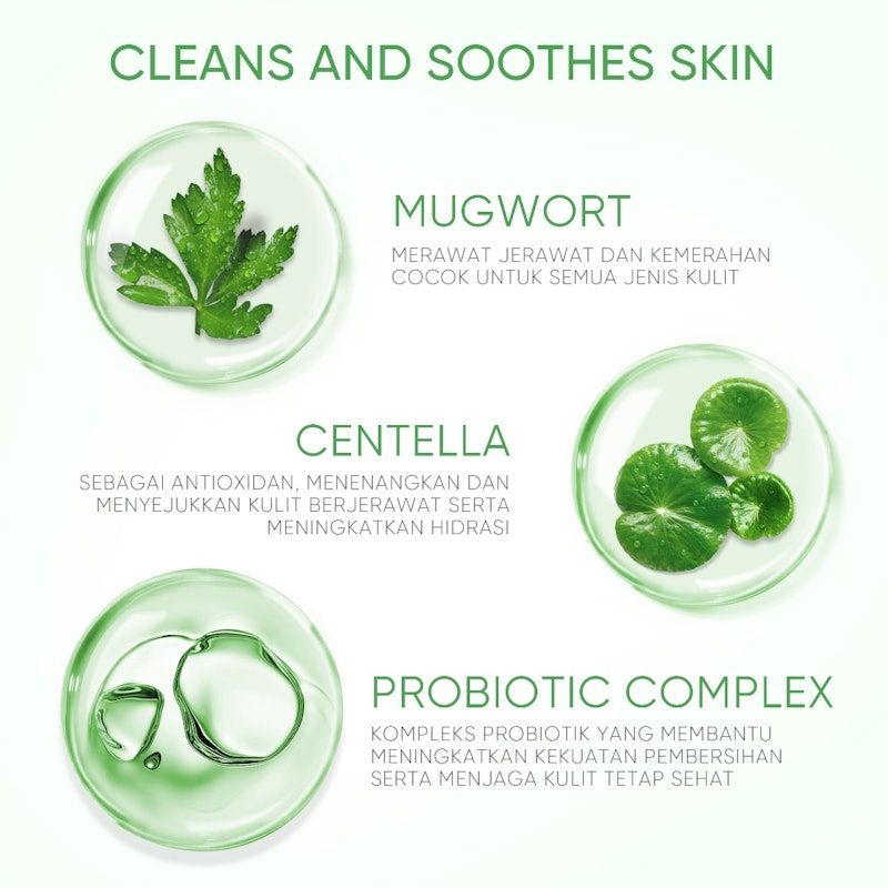 SKINTIFIC | Mugwort Purifying Micellar Water
