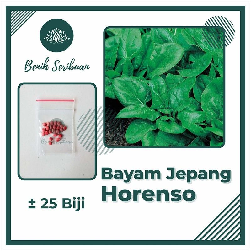 Bibit Sayuran Bayam Jepang