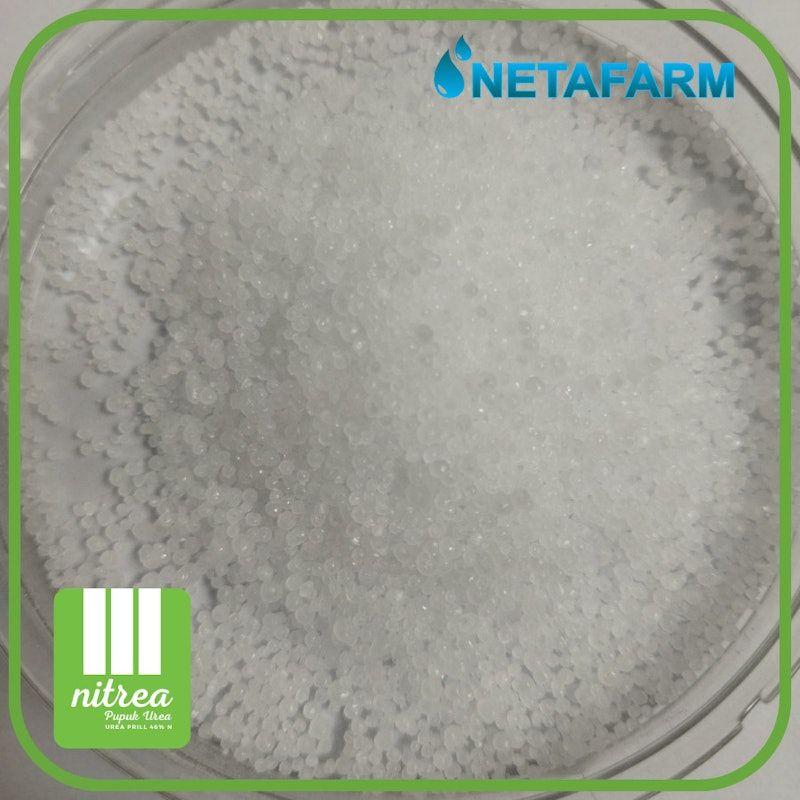 Nitrea