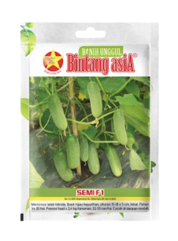 Baby Timun SEMI F1