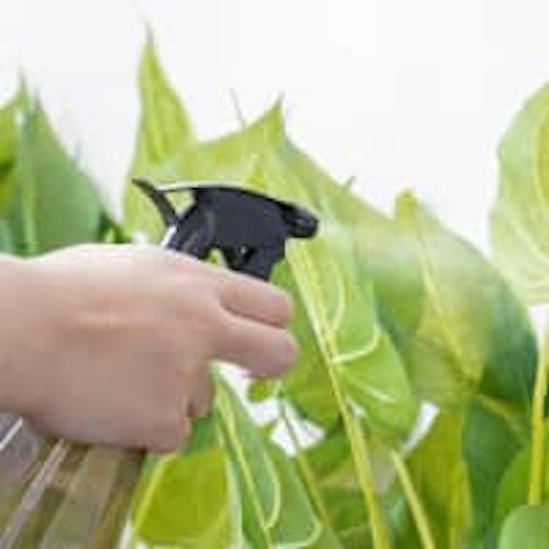 Informa Sprayer Bottle
