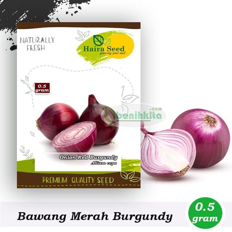 Haira Seed Onion Red Burgundy