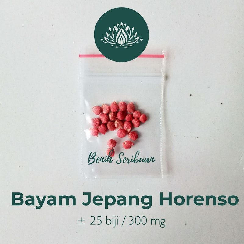 Bibit Sayuran Bayam Jepang