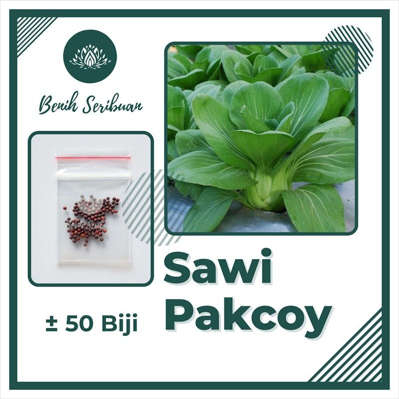 Sawi Pakchoy NAULI