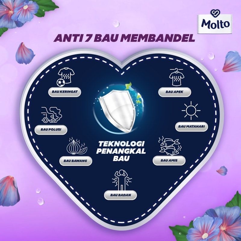 Molto Pewangi Purple