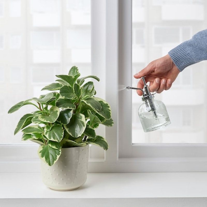 SESAMFRÖN Plant Mister