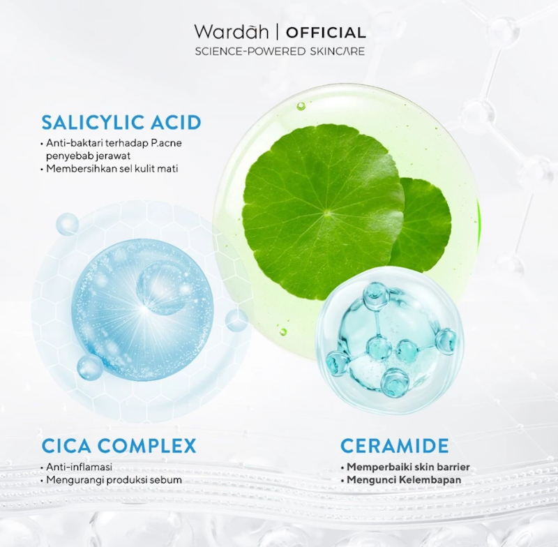 Wardah | Acnederm Acne Care Micellar Water