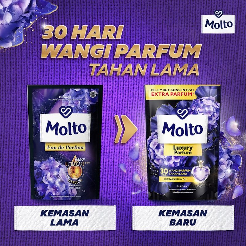 Molto EDP Purple